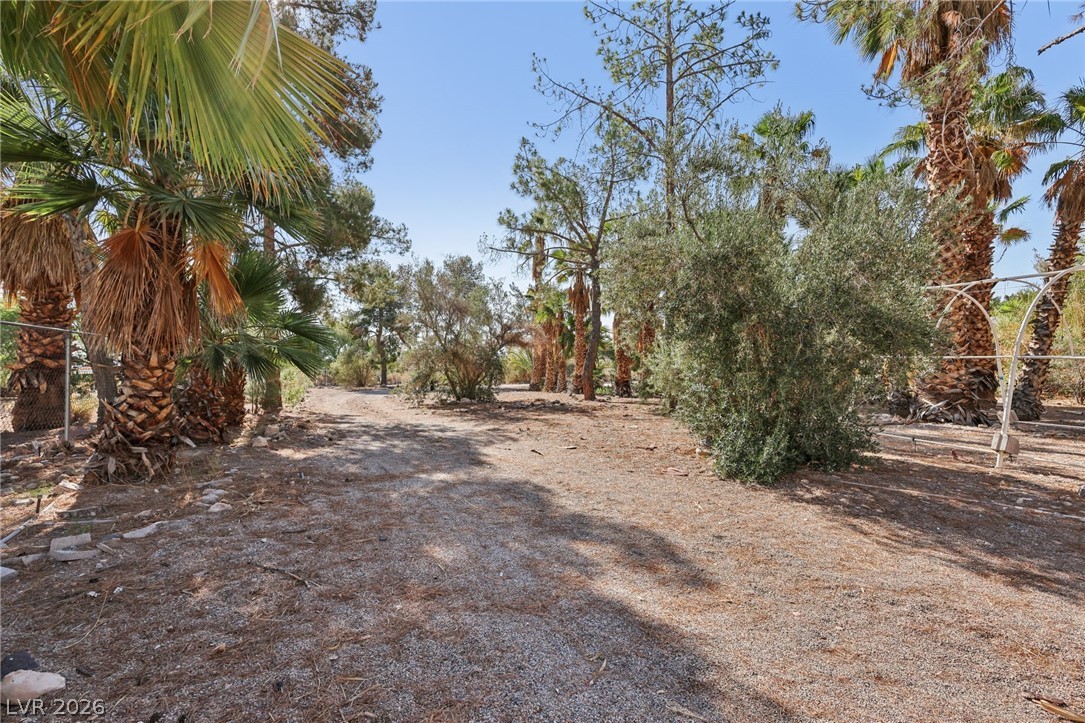 55 Siddall Avenue Las Vegas NV 89183