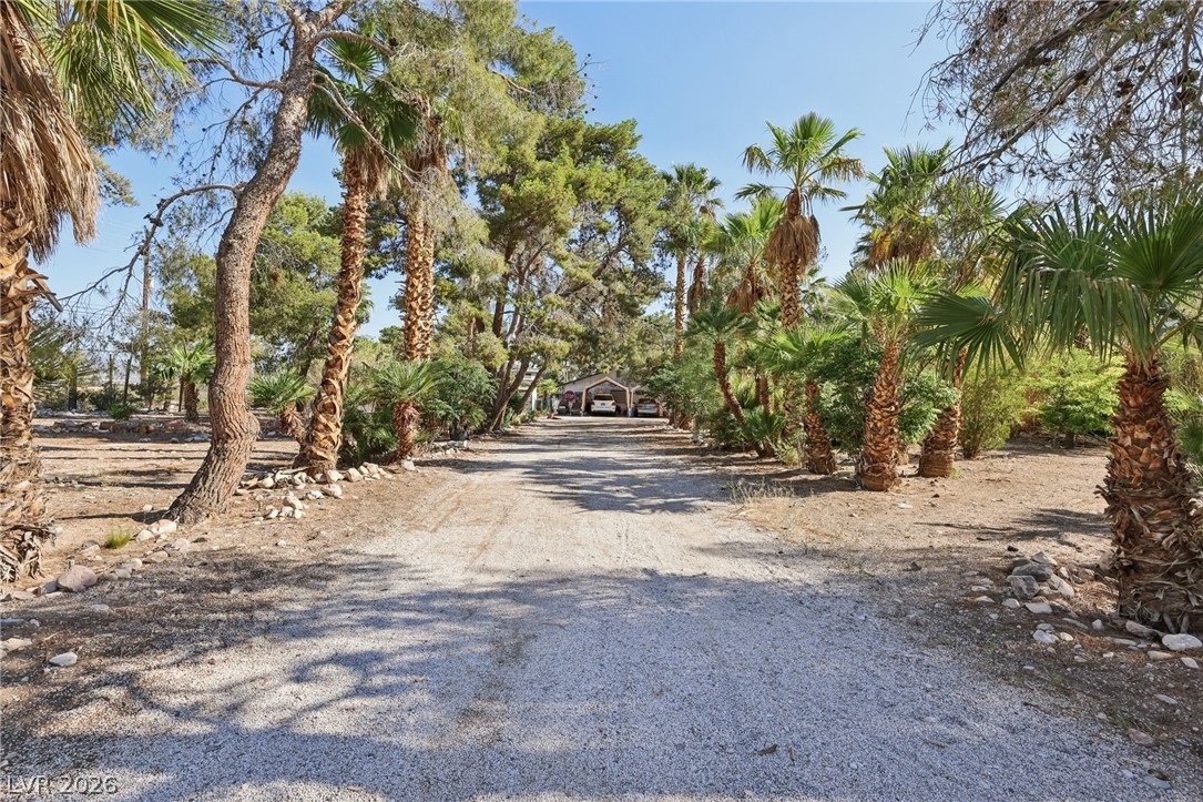 55 Siddall Avenue Las Vegas NV 89183
