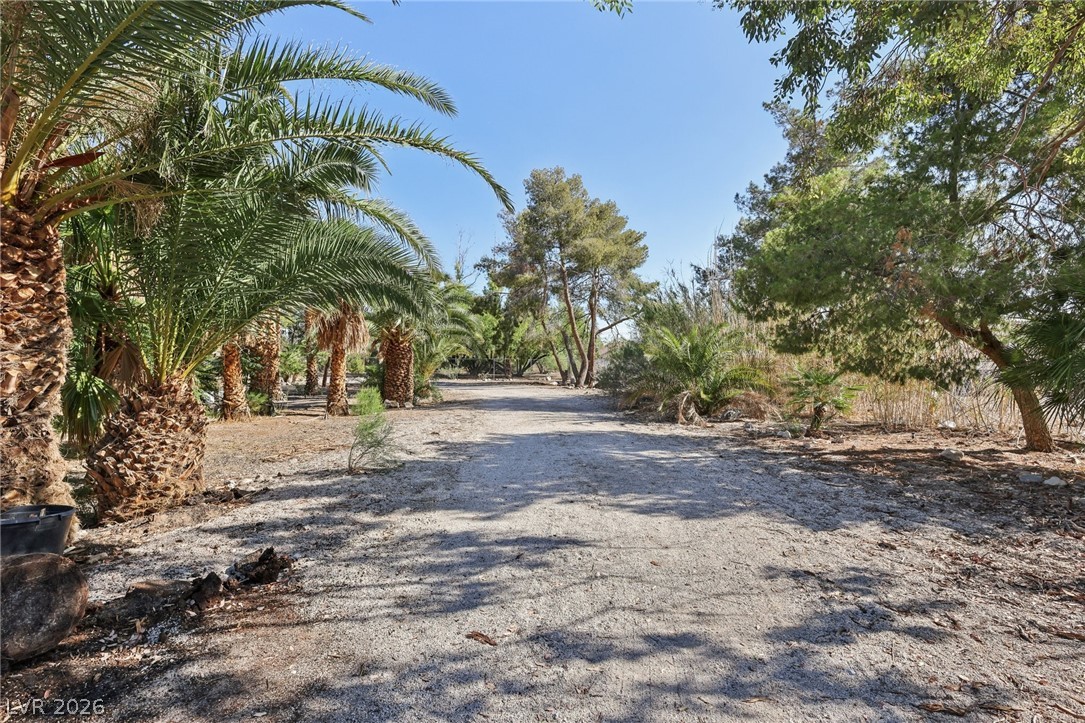55 Siddall Avenue Las Vegas NV 89183