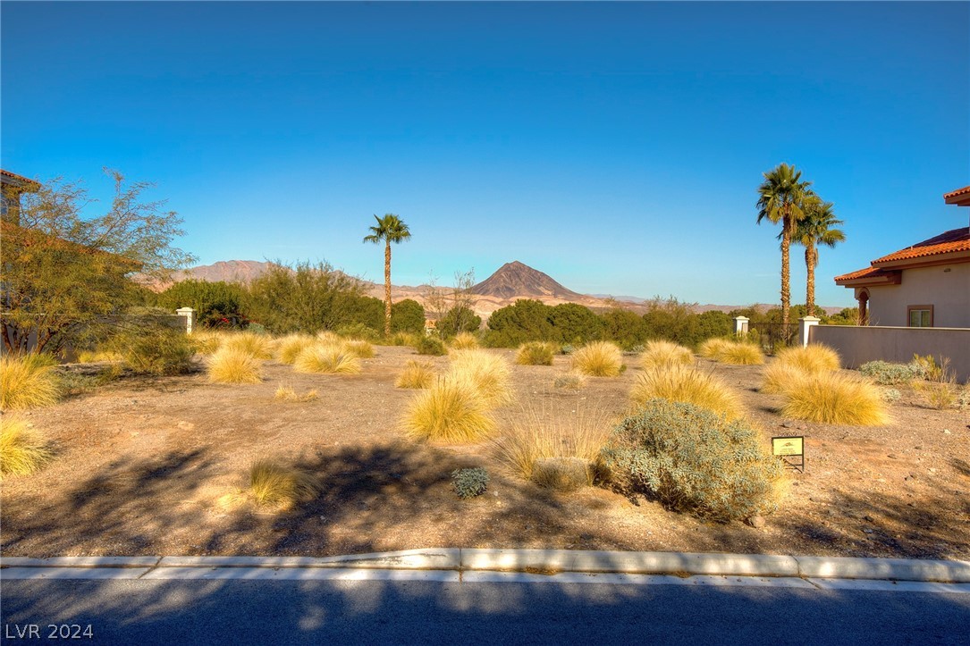 8 Sardana Court Henderson NV 89011