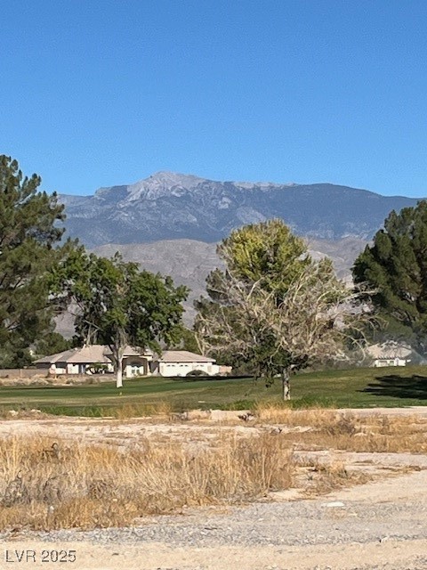 3161 Burning Tree Court Pahrump NV 89048