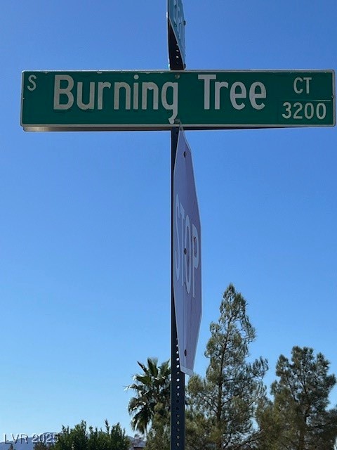 3161 Burning Tree Court Pahrump NV 89048