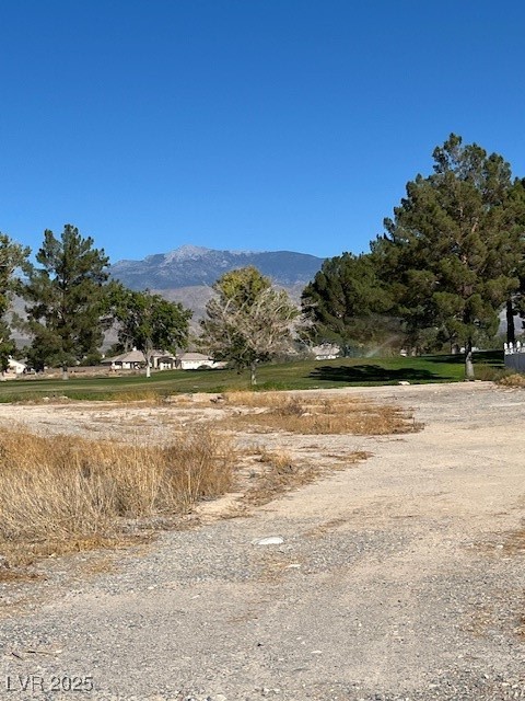 3161 Burning Tree Court Pahrump NV 89048