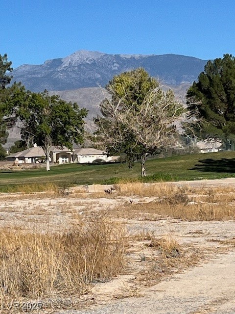 3161 Burning Tree Court Pahrump NV 89048