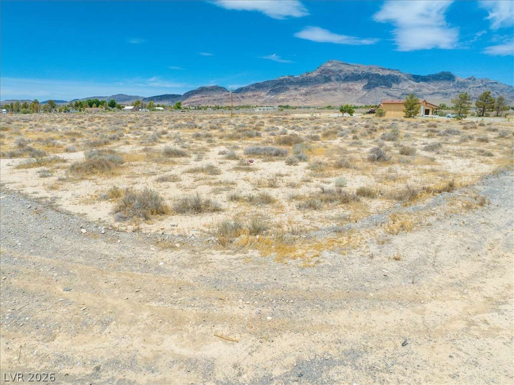2560 West Bell Vista Avenue Pahrump NV 89060