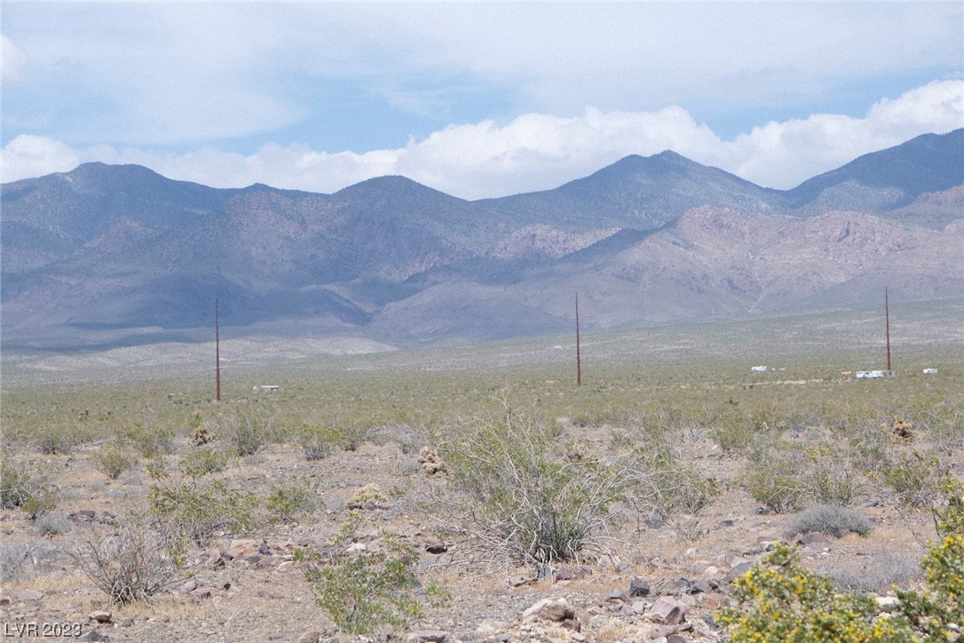 1590 East Chess Way Pahrump NV 89060