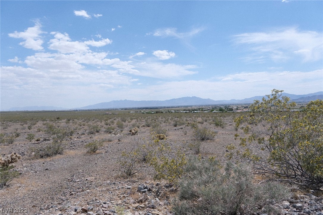 1590 East Chess Way Pahrump NV 89060