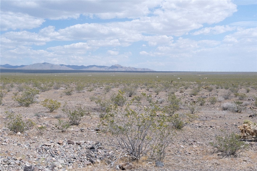 1590 East Chess Way Pahrump NV 89060