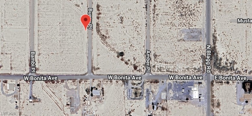 2810 North Bunny Place Pahrump NV 89060