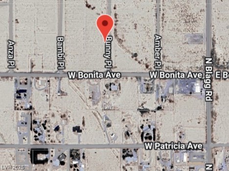 2810 North Bunny Place Pahrump NV 89060