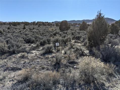 Ash Grove Pioche NV 89043