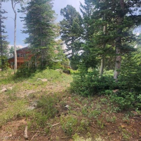 1272 Aspen Drive Brian Head UT 84719