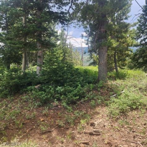 1272 Aspen Drive Brian Head UT 84719