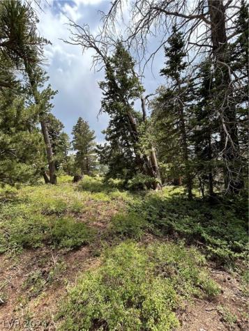 1272 Aspen Drive Brian Head UT 84719