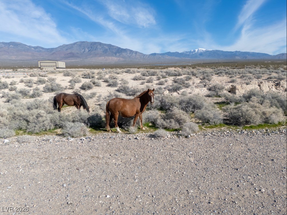 1180 East Airplane Place Pahrump NV 89060