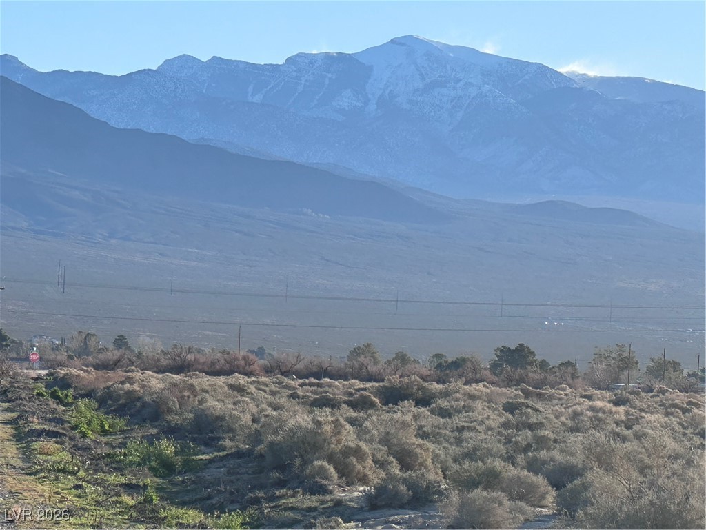 1261 Finehill Street Pahrump NV 89060