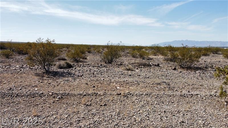 1501 East Saguaro Drive Pahrump NV 89060