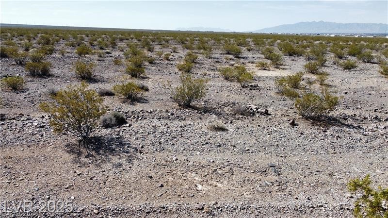 1501 East Saguaro Drive Pahrump NV 89060