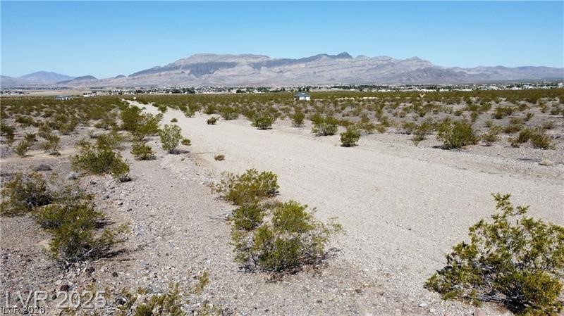 1501 East Saguaro Drive Pahrump NV 89060