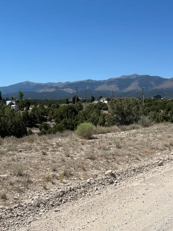 Pinyon Pine Ely NV 89301