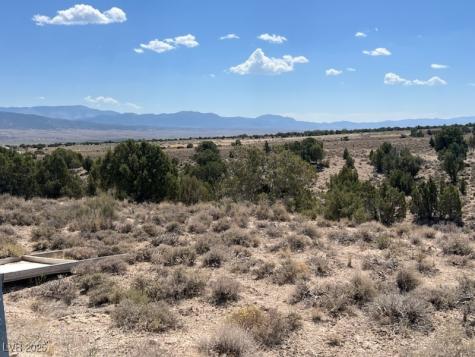 Pinyon Pine Ely NV 89301