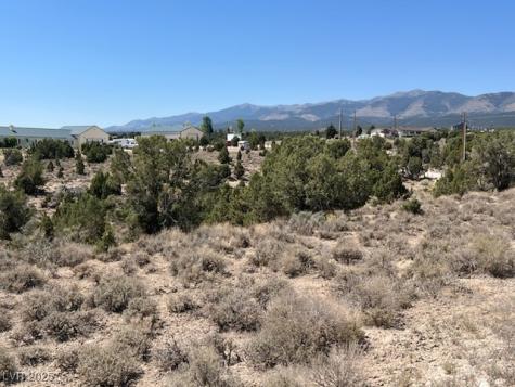 Pinyon Pine Ely NV 89301