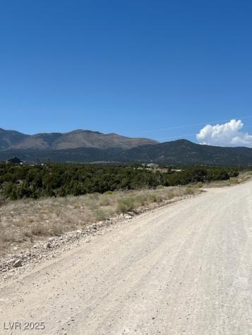 Pinyon Pine Ely NV 89301