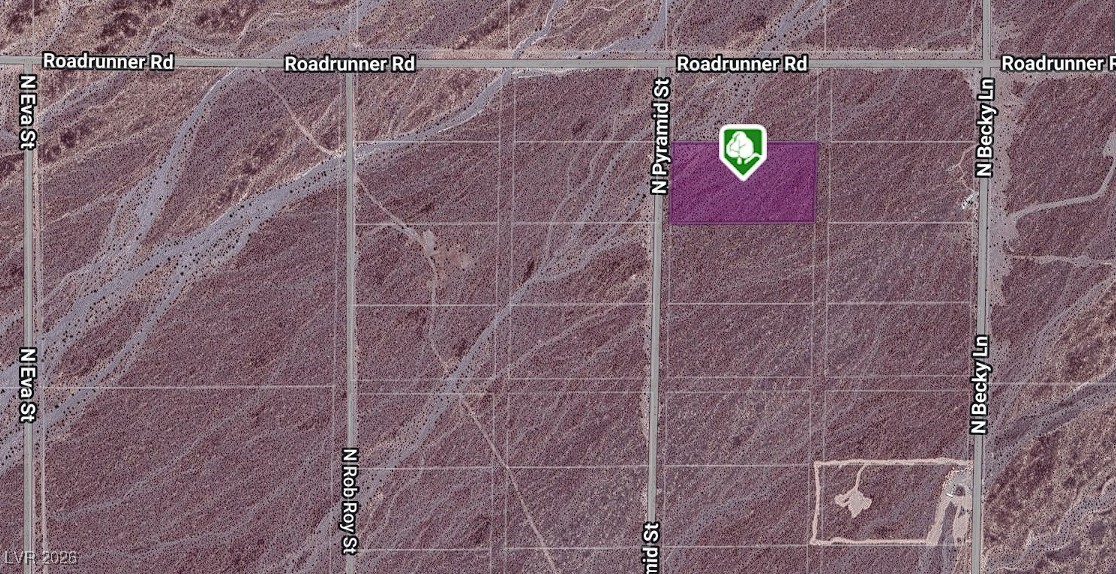 7900 North Zebra Street Pahrump NV 89060