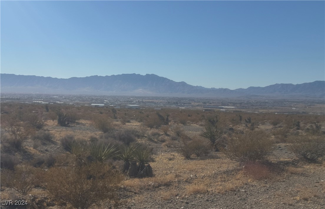 2720 East Bevs Way Pahrump NV 89060