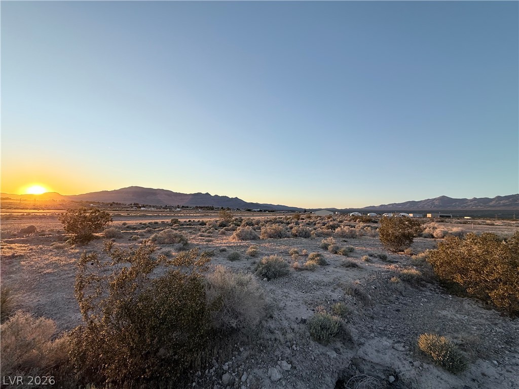 1100 East Monoplane Place Pahrump NV 89060