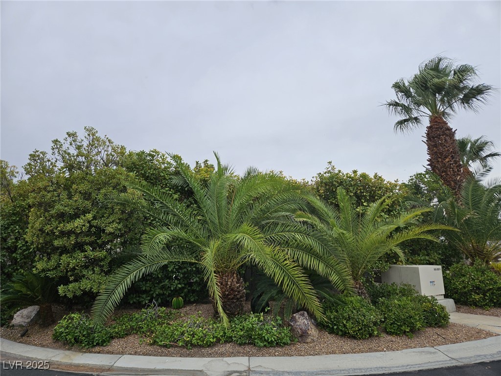 8175 Arville Street 258 Las Vegas NV 89139