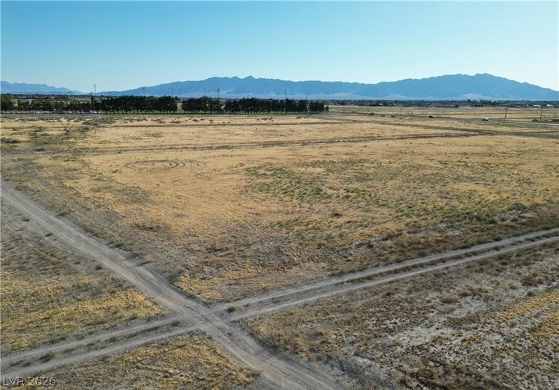 1480 East Geronimo Street Pahrump NV 89048
