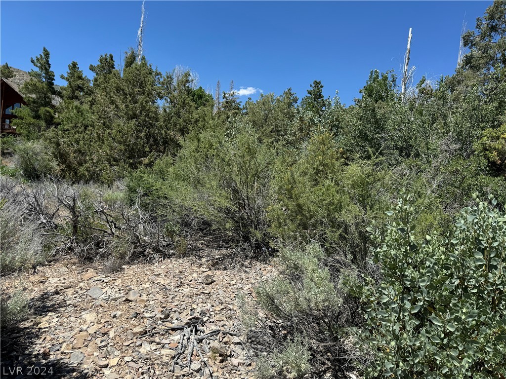 North Trout Canyon Road Las Vegas NV 89124