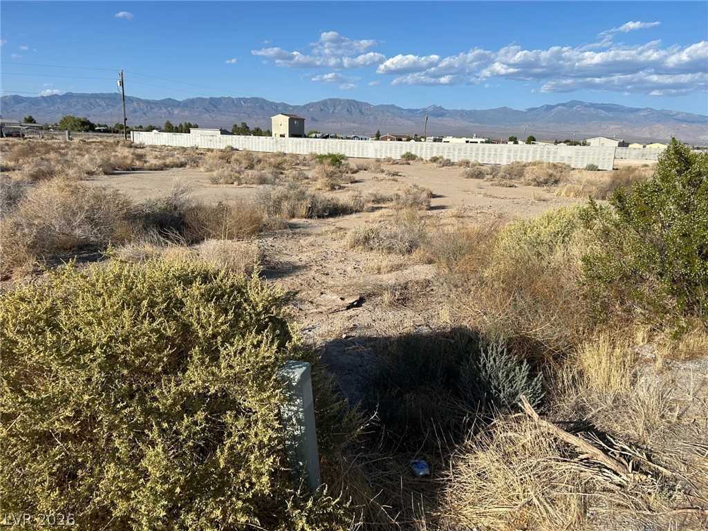 4320 Jasmine Street Pahrump NV 89048