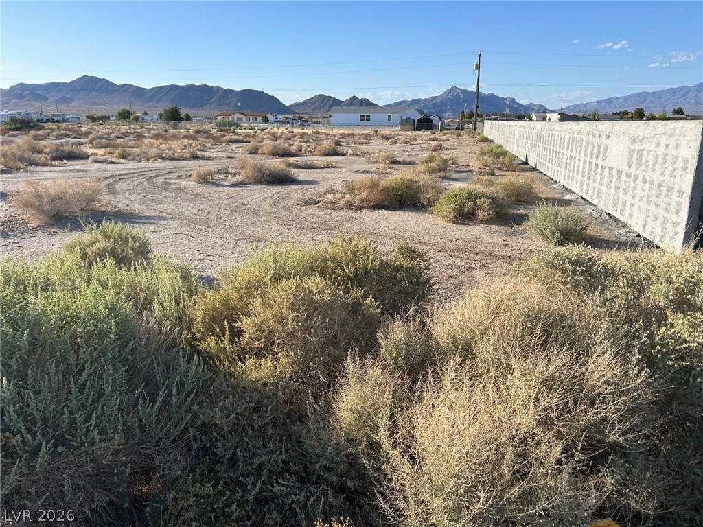 4320 Jasmine Street Pahrump NV 89048