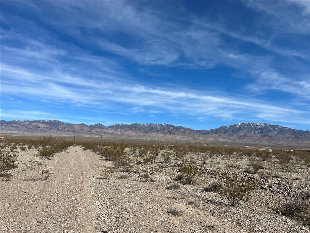 6161 North Jungle Avenue Pahrump NV 89060