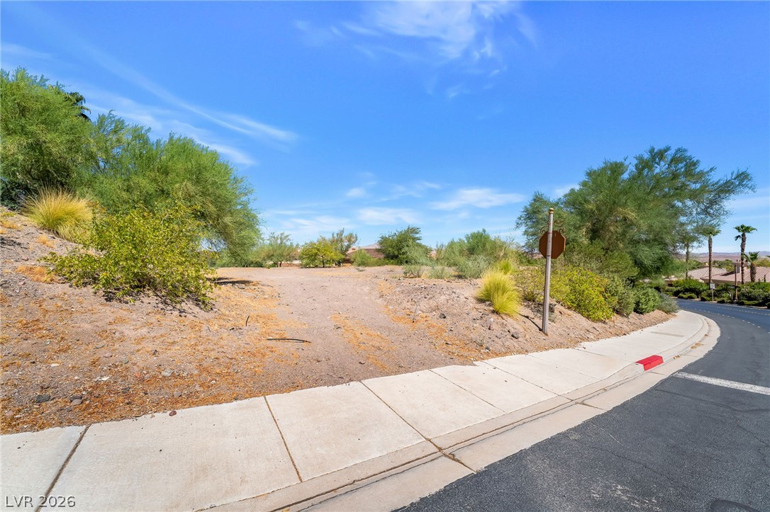 20 Camino Barcelona Place Henderson NV 89011