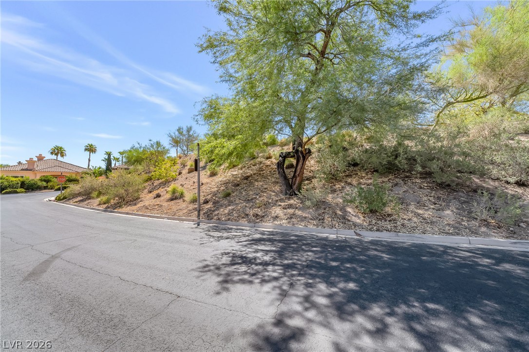 20 Camino Barcelona Place Henderson NV 89011