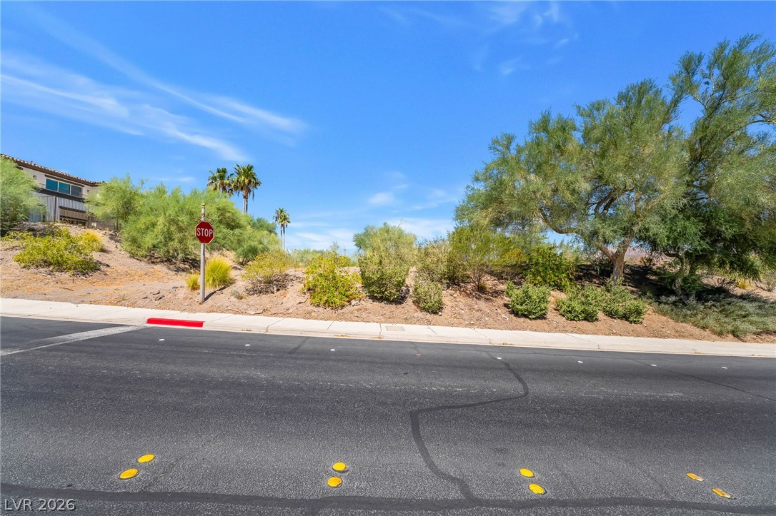 20 Camino Barcelona Place Henderson NV 89011