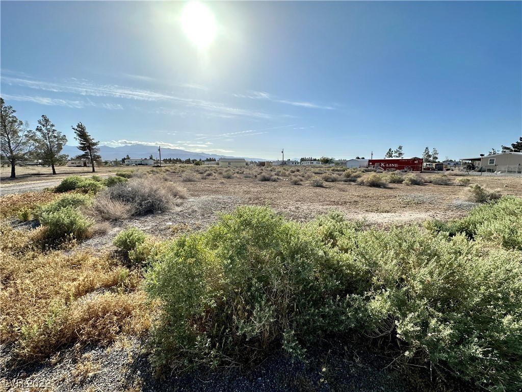 1261 Meier Drive Pahrump NV 89048