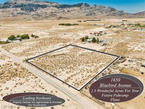 1650 West Bluebird Avenue Pahrump NV 89060