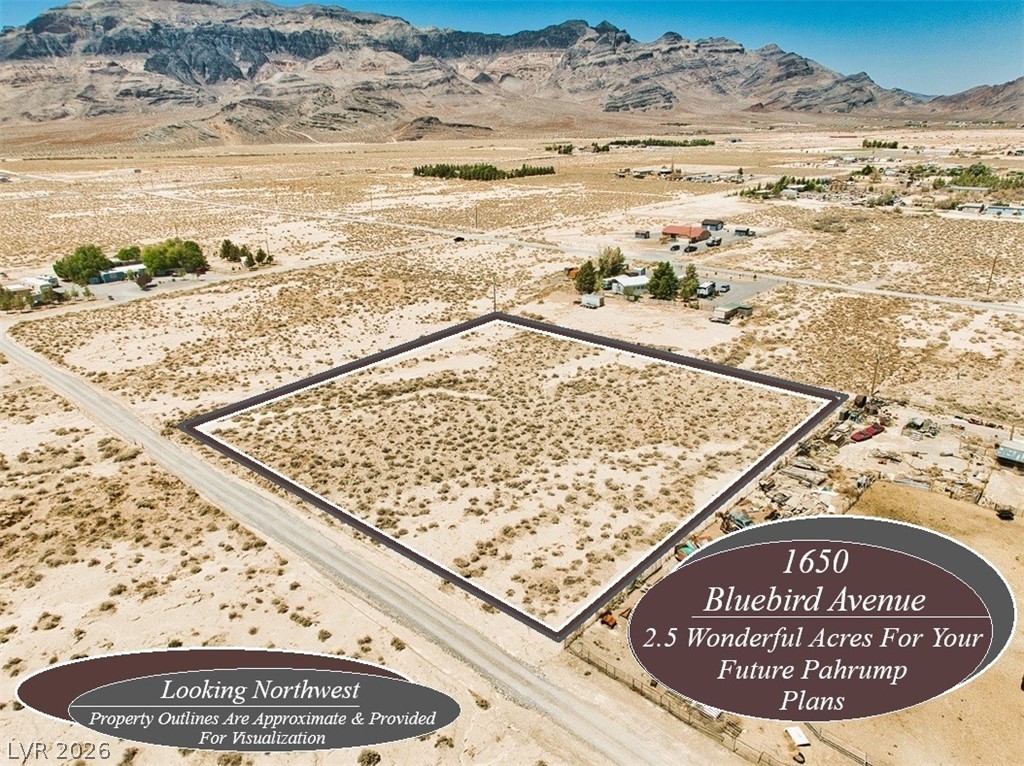 1650 West Bluebird Avenue Pahrump NV 89060