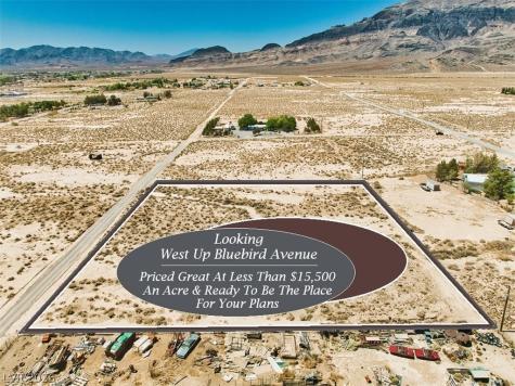1650 West Bluebird Avenue Pahrump NV 89060