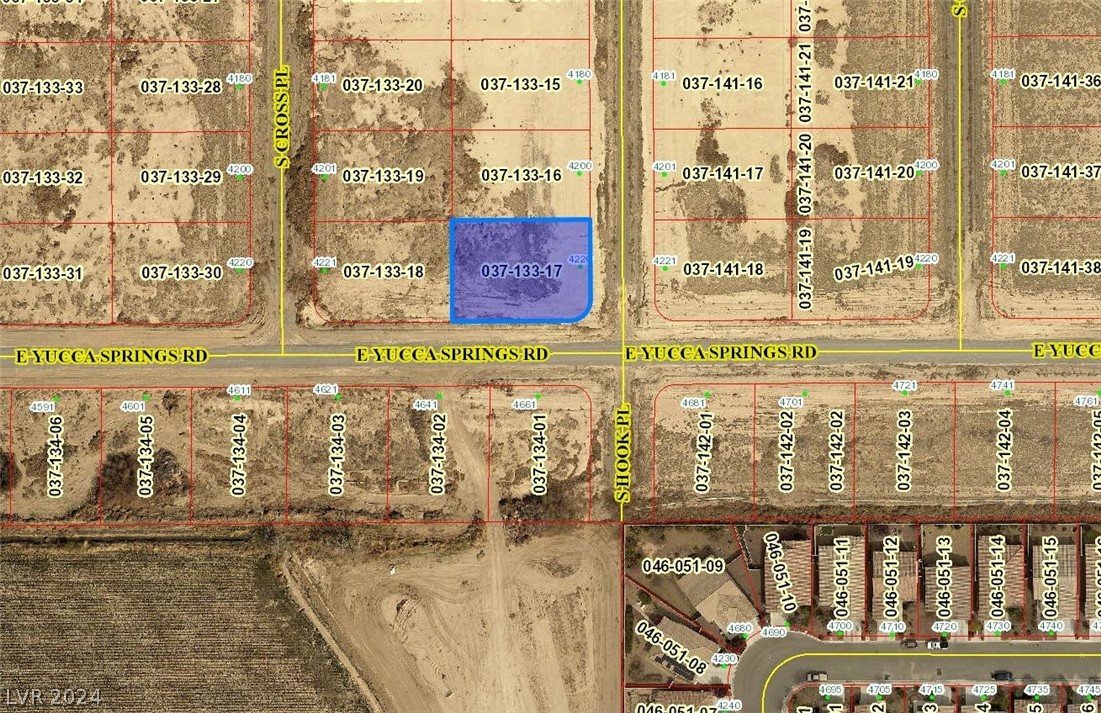 4220 South Hook Avenue Pahrump NV 89048