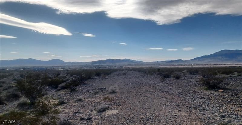 1561 East Bonita Avenue Pahrump NV 89060
