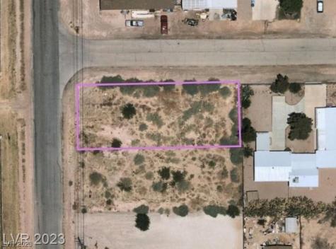 Adelle Overton NV 89040