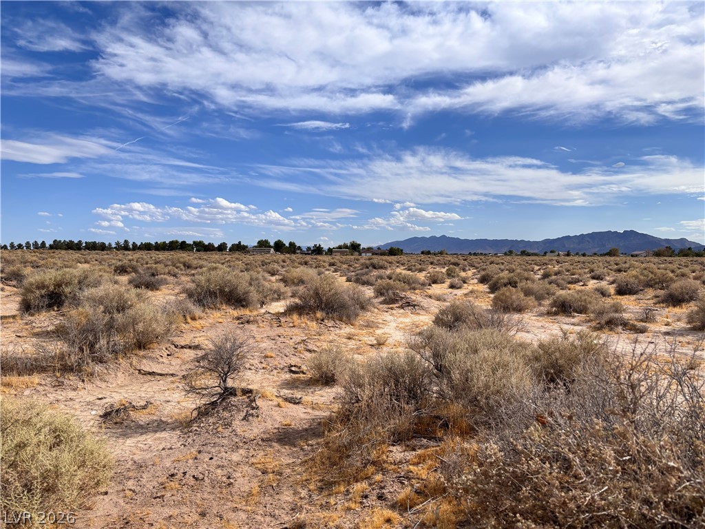 1311 West Nye Road Pahrump NV 89060