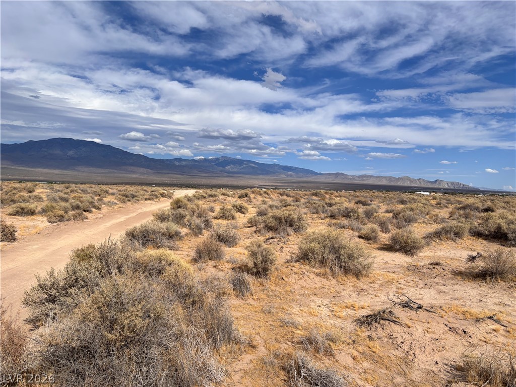 1311 West Nye Road Pahrump NV 89060