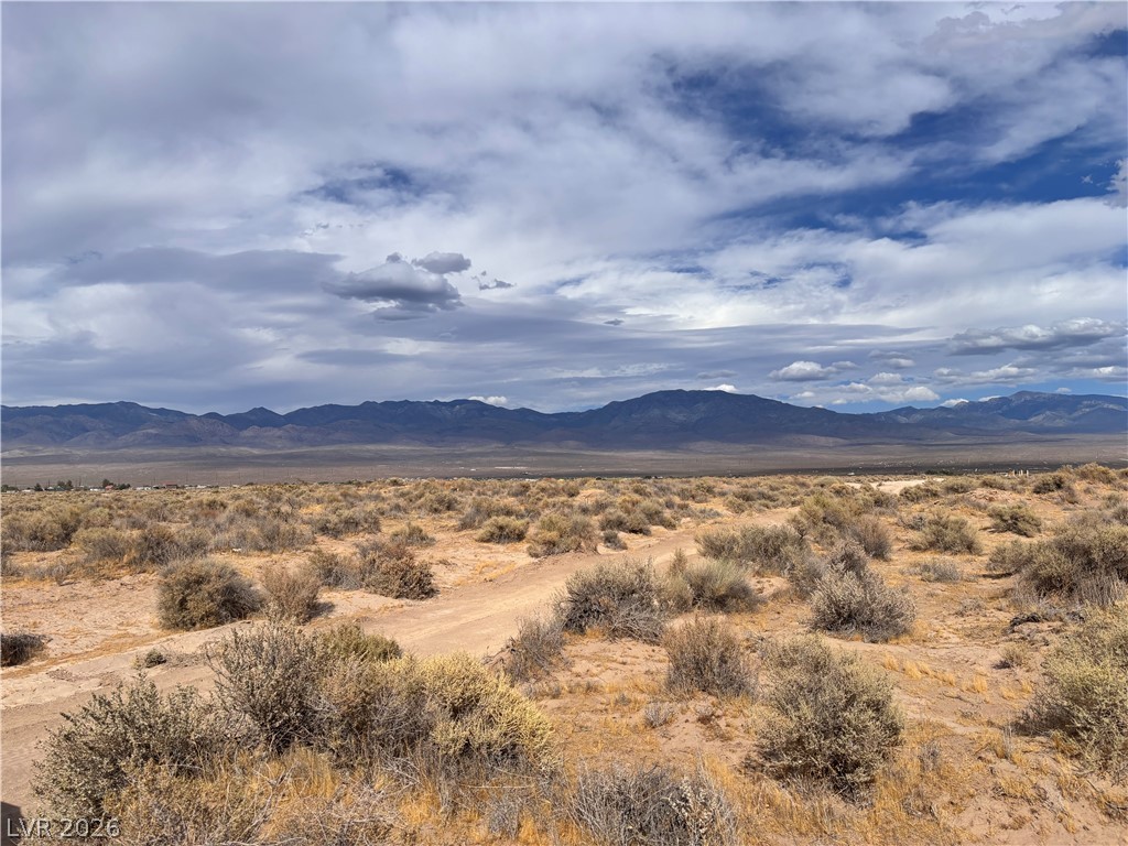 1311 West Nye Road Pahrump NV 89060