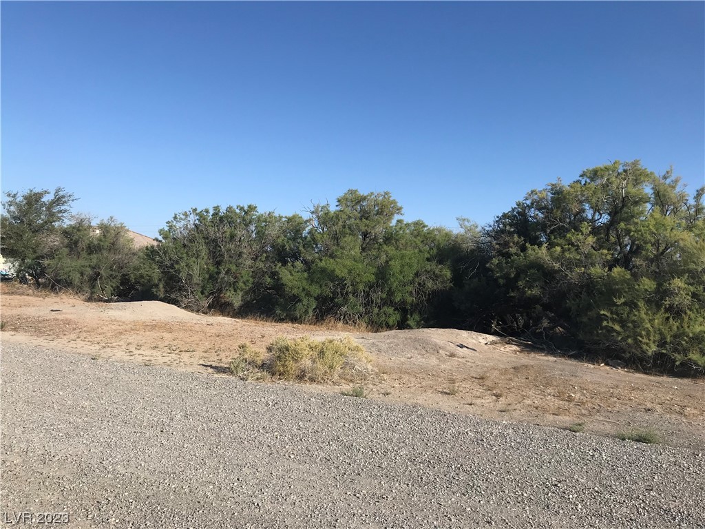 280 West Mesa Drive Pahrump NV 89048